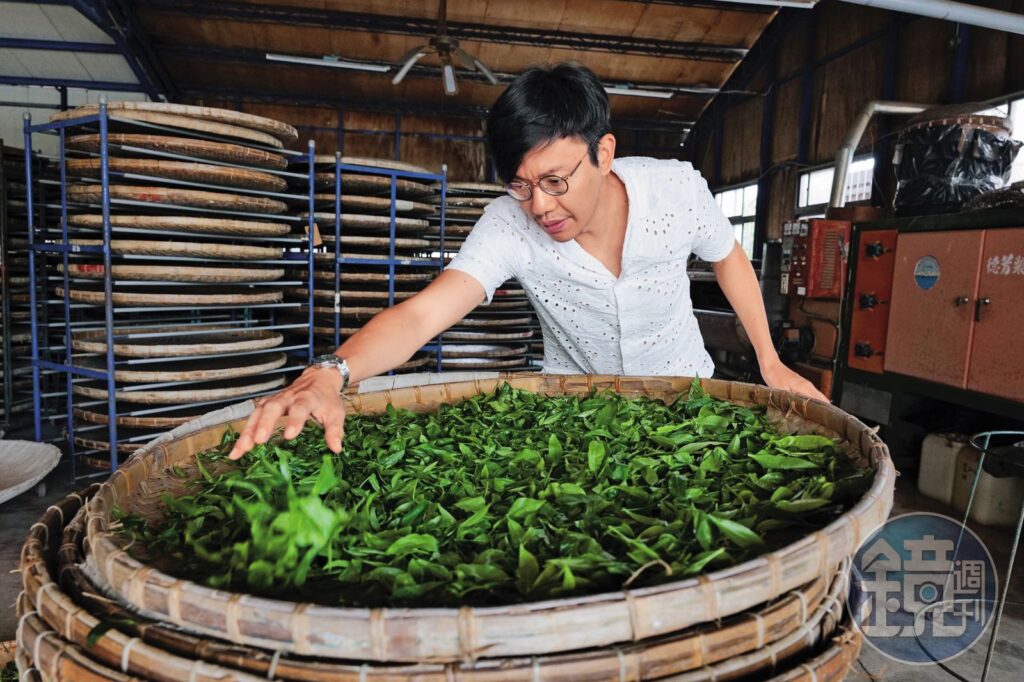 彈鋼琴的製茶師2／莫名得罕病癱瘓失明　常行深看遍中西醫真相竟在《本草綱目》裡