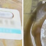 外食族惡夢!女完食超商生鮭沙拉驚見活蟲 業者回應了