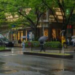 好天氣撐不久？天氣短暫穩定後　6月初颱風＋低壓恐再變天