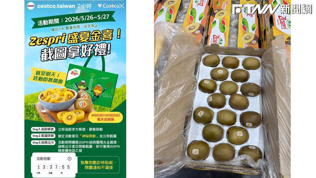 好市多推盛夏好康　買Zespri陽光金圓頭奇異果送精美購物袋