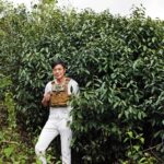 彈鋼琴的製茶師5／抗拒社會化浮浮沉沉　常行深晃蕩美台因一理由落腳茶鄉