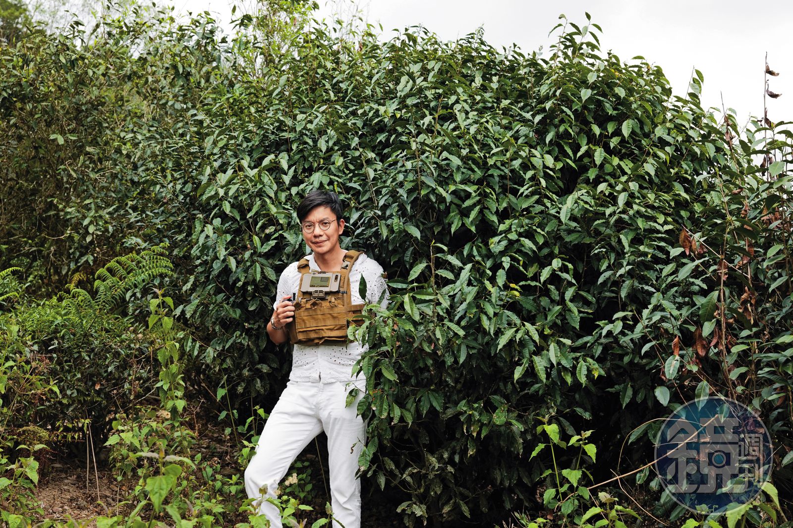 彈鋼琴的製茶師5/抗拒社會化浮浮沉沉 常行深晃蕩美台因一理由落腳茶鄉