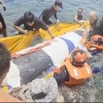 綠島鯨擱淺滲血！自由潛水客疑「緊追在後」畫面曝光　掀全網炎上：為什麼一直追牠