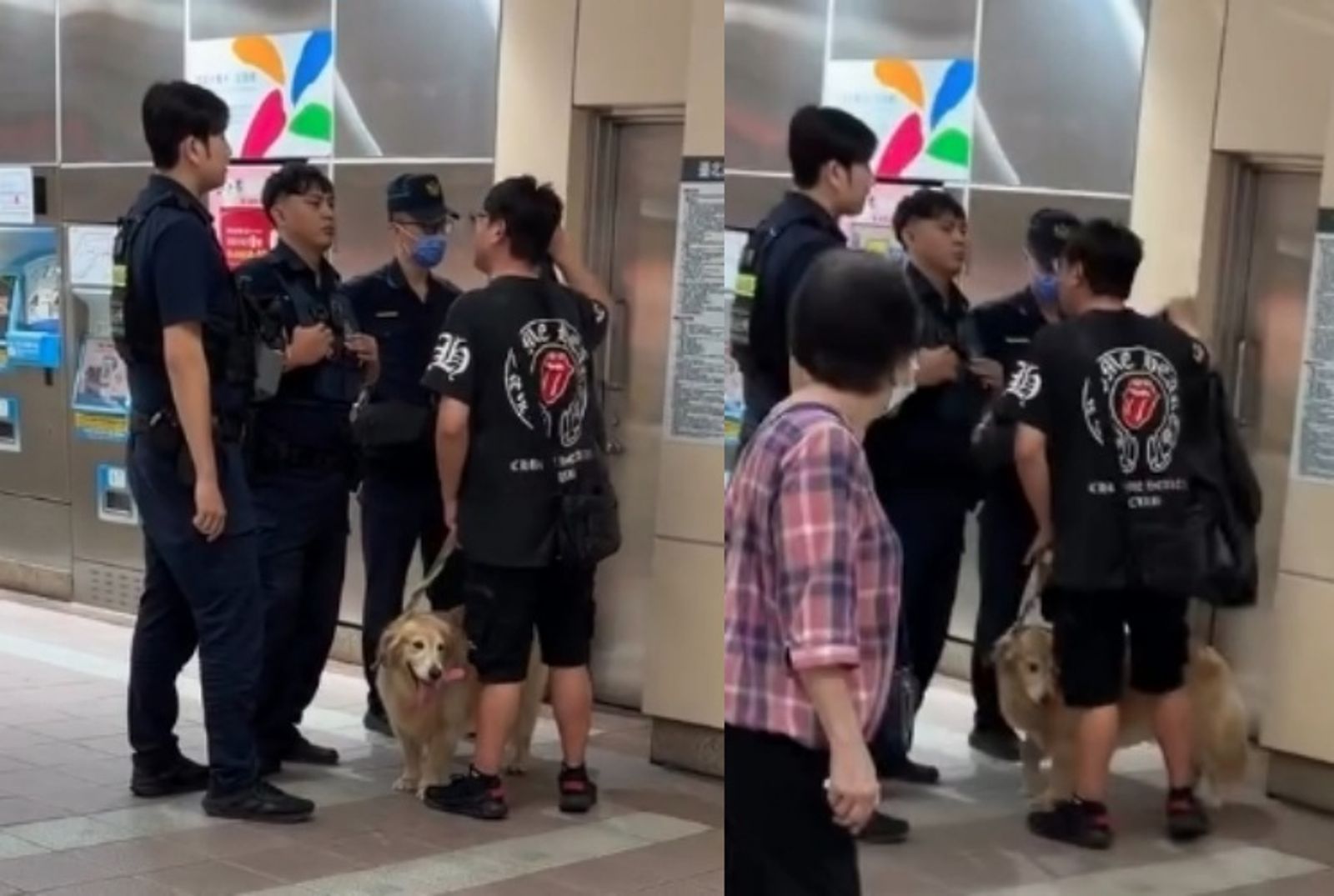 拿垃圾袋裝黃金獵犬闖北捷?飼主失控咆哮「它就是袋」 網心疼:狗都替他覺得丟臉
